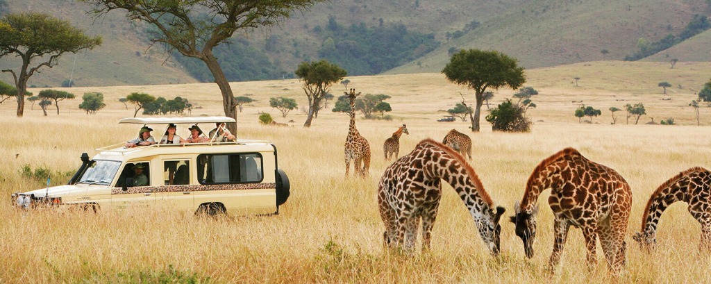 Luxury Africa Safari Tours
