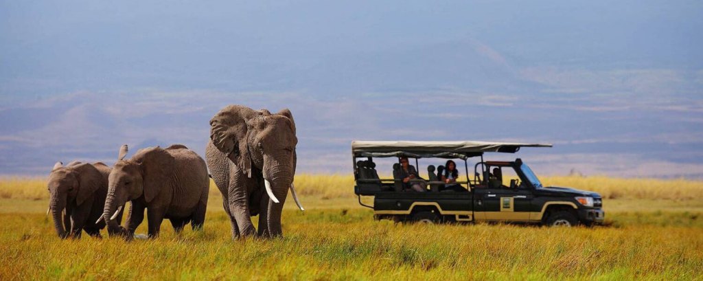 Western Tanzania Safari Tour Cost 