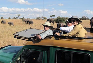 Western Tanzania Safari Tour Cost